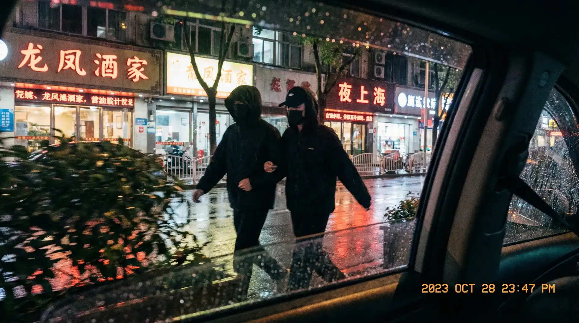 免费观看重启地球 - 顶流明星深夜密会现场抓拍照片